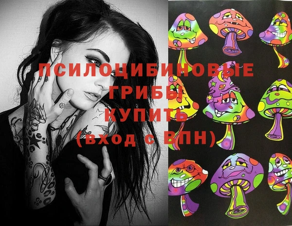 скорость Лагань